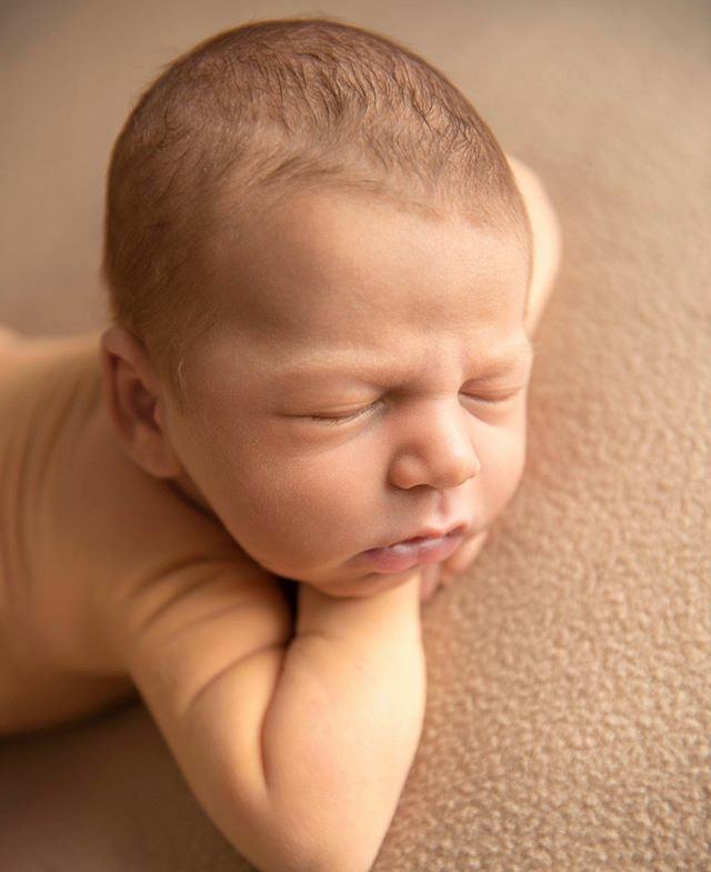 MonicaQuintanaF's tweet photo. 👶Cada cop m'enamora més la simplicitat. Penso que els petits són tan perfectes que poca cosa cal per retratar-los 📸
-
-
-
-

#nado #recentnascut #nounat #newborn #fotografa #estudifotografia #fotografafigueres #sessiodefotos #sessions #sessionsdefotos #sessionewborn #session… https://t.co/YHbpiPbpCd
