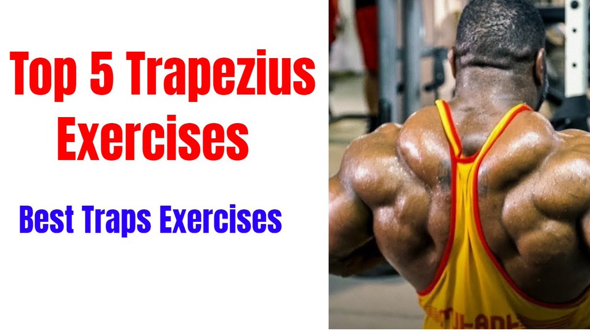 MusclesDesi's tweet photo. Check out my latest video "Top 5 Trapezius Exercises 2019 | Trapezius Workout | Traps | Trap | Desi Muscles"

Watch Now: https://t.co/zQYRzXCCtR

(Posted via https://t.co/5lrve5DcjM) https://t.co/jYrci3ASDP