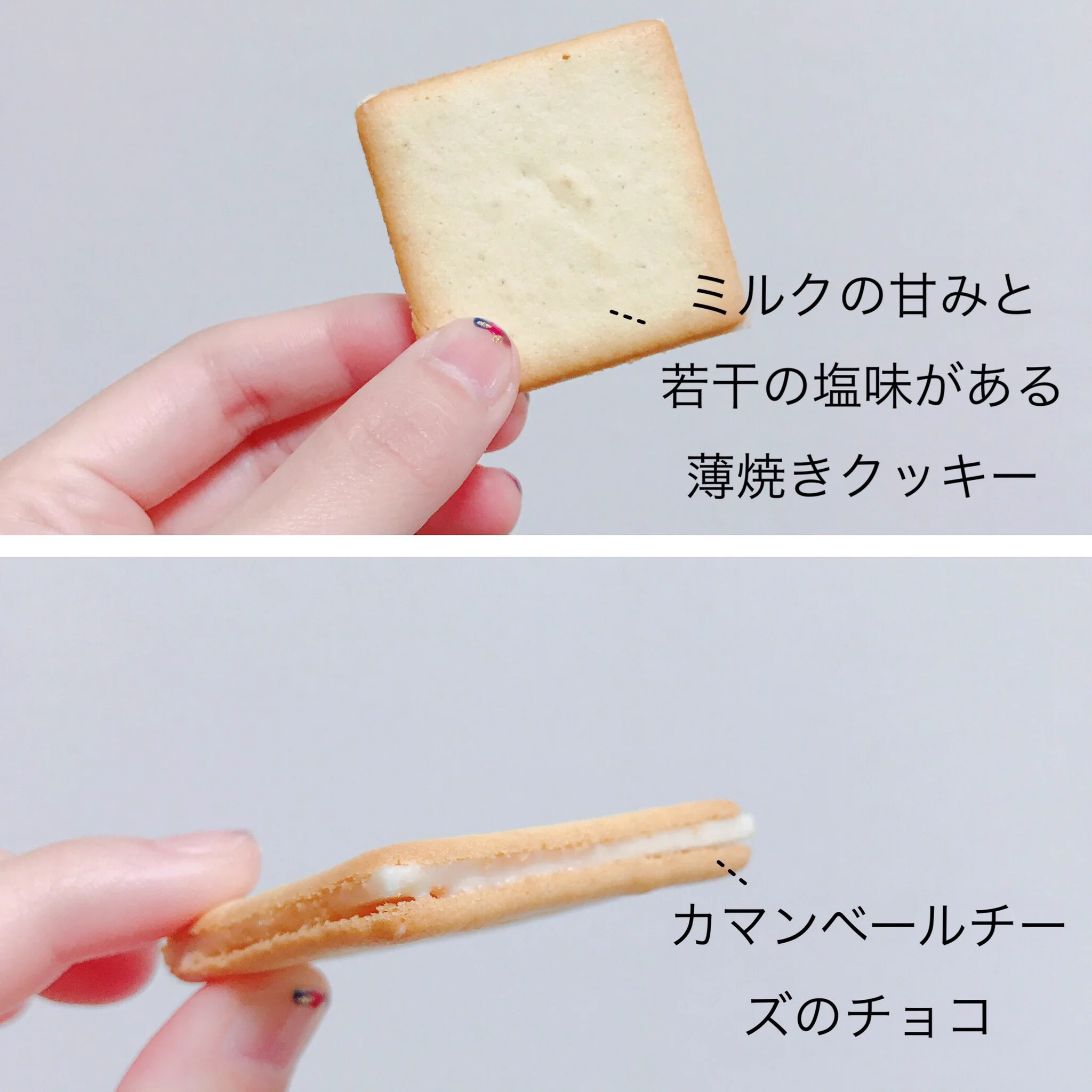 厳選素材の美味しさが堪らない！東京ミルクチーズ工場の『ソルト&カマンベール』