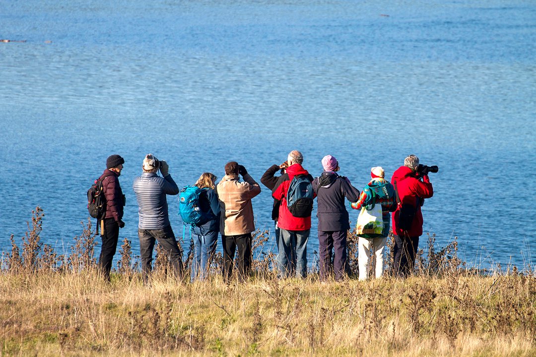 SIMRES's tweet image. Come to our next SEATalk: Birding Today with Ann Nightingale! Learn about counting, recording and analyzing bird watching data with new technology next Saturday Nov 30th! More details on our website! #birding #birdingvi #environment #education #saturnaisland