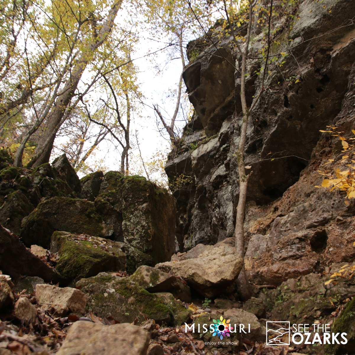 See The Ozarks tweet media