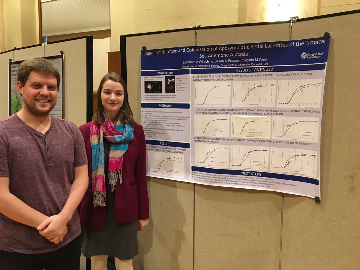 Virginia Weis (@virginiamweis) on Twitter photo Elizabeth Wirsching, an undergrad <a href="/STEMLeadersOSU/">STEM Leaders - Oregon State</a> in <a href="/OSUIB/">Integrative Biology</a> gave a great poster last night at <a href="/OSUScience/">Oregon State Science</a> on development of asexual buds in Aiptasia and the role of symbionts. Thanks <a href="/presnell_jason/">Jason Presnell</a> for being a great mentor. <a href="/WeisLab/">Weis Lab</a> Elizabeth Wirsching, an undergrad <a href="/STEMLeadersOSU/">STEM Leaders - Oregon State</a> in <a href="/OSUIB/">Integrative Biology</a> gave a great poster last night at <a href="/OSUScience/">Oregon State Science</a> on development of asexual buds in Aiptasia and the role of symbionts. Thanks <a href="/presnell_jason/">Jason Presnell</a> for being a great mentor. <a href="/WeisLab/">Weis Lab</a>