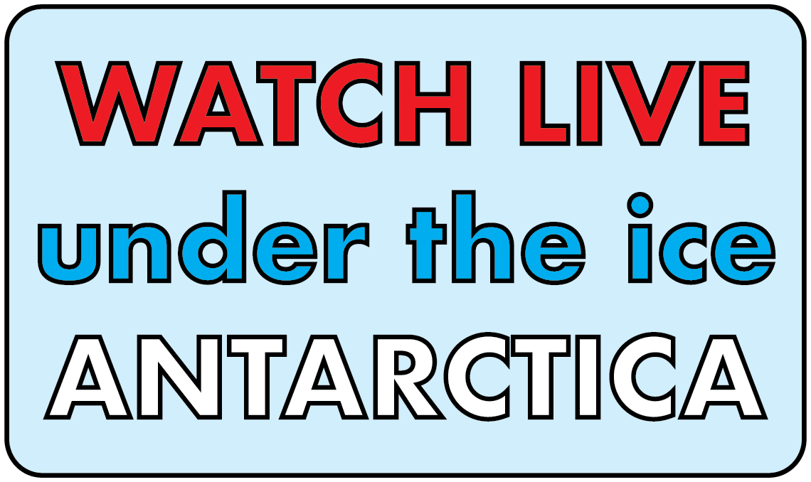 Today: Last chance to watch LIVE under the sea ice in McMurdo Sound, #Antarctica. Neat critters, incredible sounds, informative commentary. 2pm Pacific Time, US: youtube.com/channel/UCCvux…