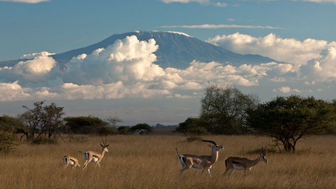 PrimeUganda's tweet photo. I haven’t been everywhere, but it’s on my list. And this time, i am going to Nambia for an #AfricaSafari.
https://t.co/APtg5v7gGj
https://t.co/mKiUWCJoi7
#NamibiaSafari #NamibiaSafaris #VisitNamibia #SafariNamibia #SafariInNamibia #NamibiaTour https://t.co/RqcMvON1fX