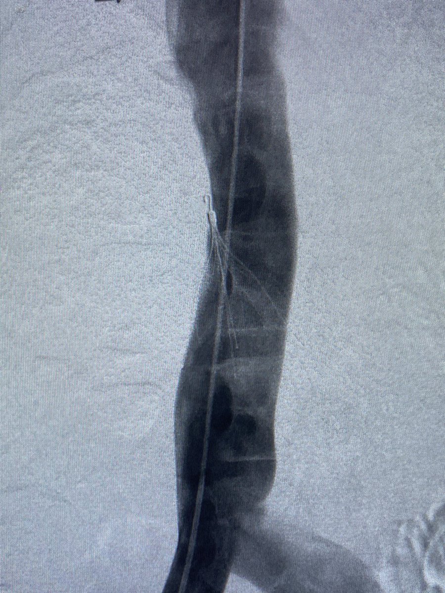 Pavan Kavali tweet media