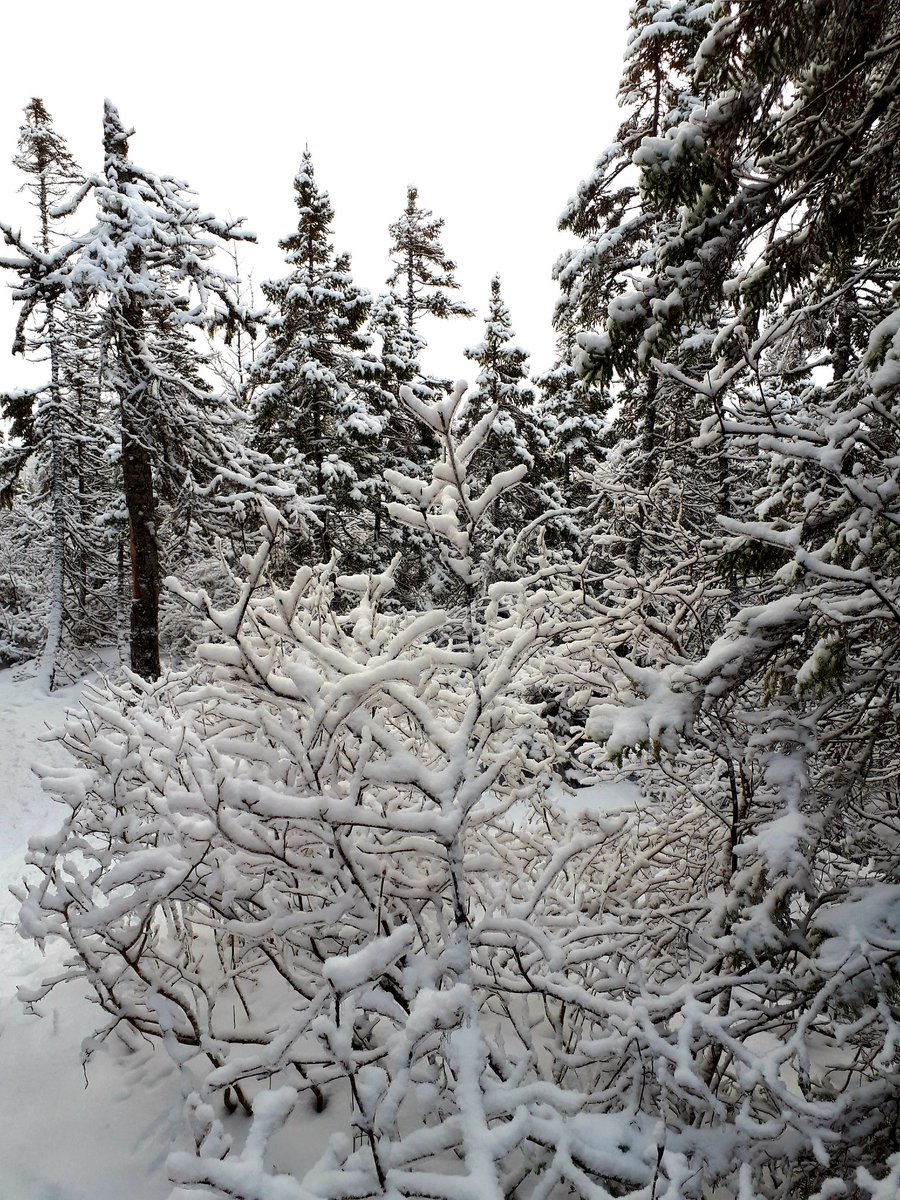 bcb490's tweet image. It's a beautiful day here in Massey Drive #bestcoast #KnowYourenvironment #MyWeather #AcuRite!@AcuRite