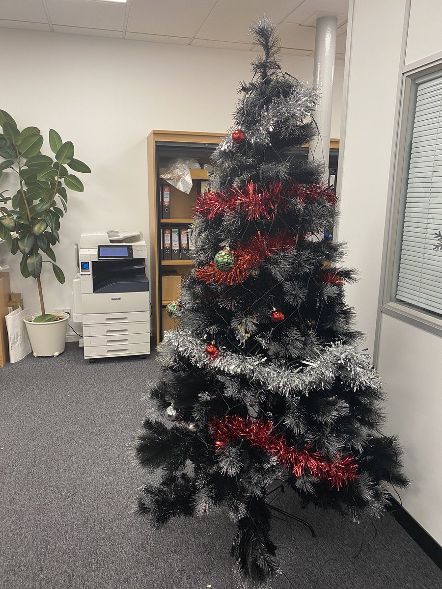 Glad to see the team had their priorities straight for the office move!🎄