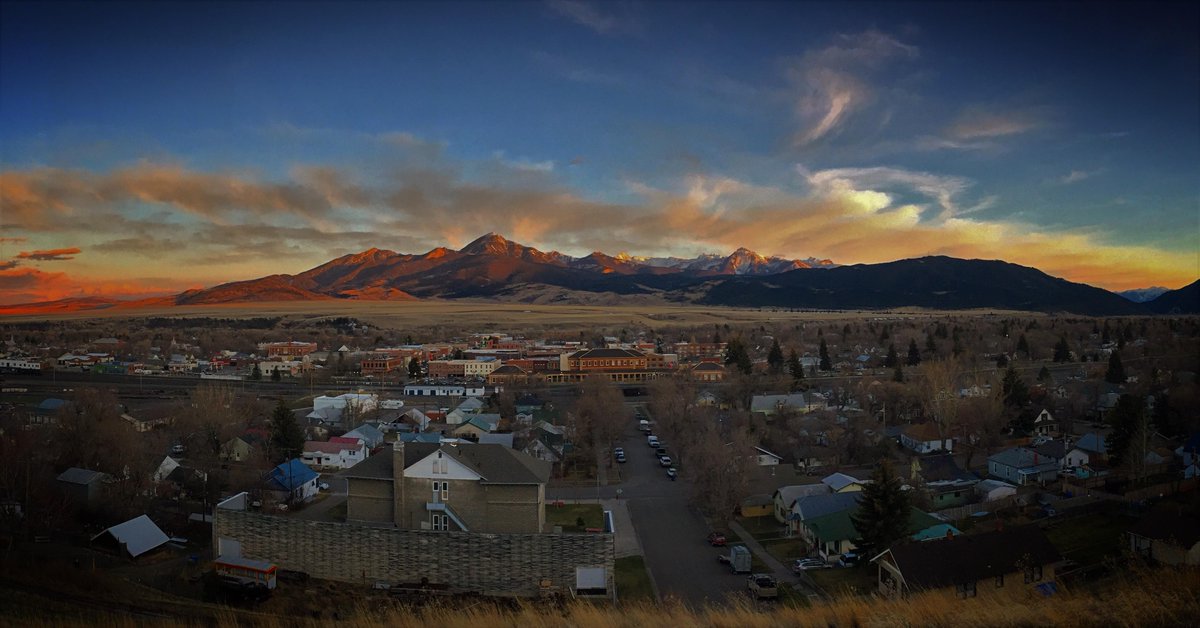 LiveStories tweet media