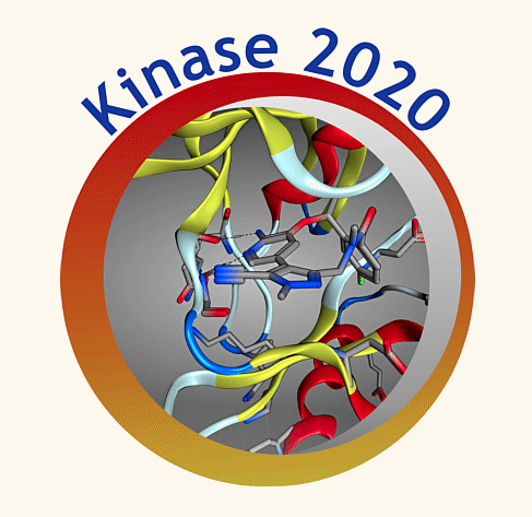 RSC_BMCS's tweet photo. Announcement and call for abstracts!

Registration is open for the 9th RSC / SCI symposium on kinase inhibitor design, Monday-Tuesday, 1st-2nd June 2020, The Francis Crick Institute (@TheCrick), London, UK.

Early bird rates available! https://t.co/PWKuLQ9xr5