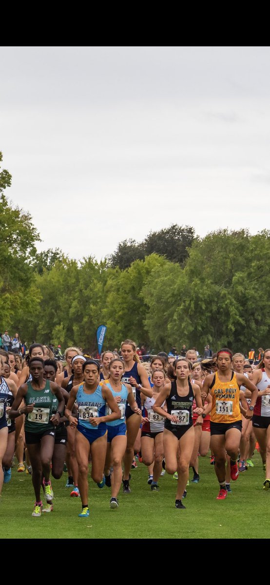 ayee_esta_luz's tweet image. All the preparation for one race......#24hoursleft