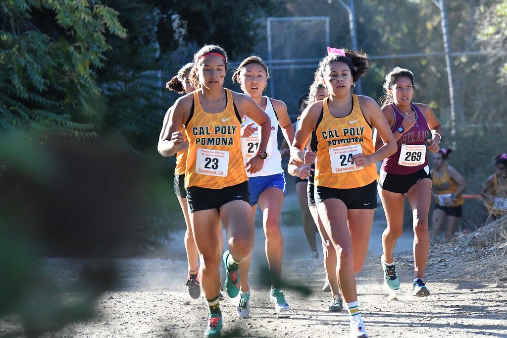 ayee_esta_luz's tweet image. All the preparation for one race......#24hoursleft