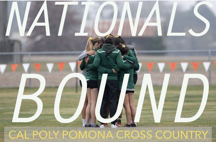 ayee_esta_luz's tweet image. All the preparation for one race......#24hoursleft