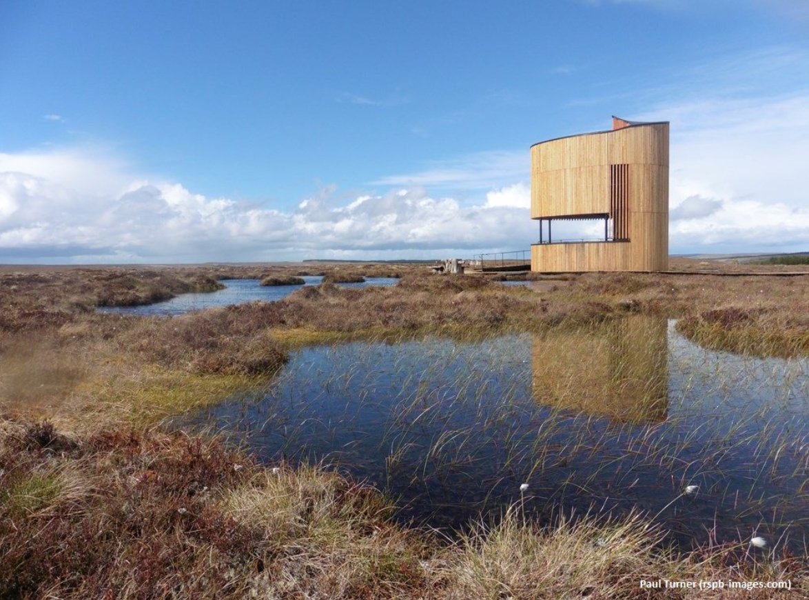 FUNDED #SUPERDTP #PhD Studentship opportunity | ‘Processing and fluxes of DOM in peat-pools and lochans’ based in #Thurso @ERI_UHI: bit.ly/2qqtLkZ #ThinkUHI #PhDChat #Peatlands @NERCscience @Flowresearch 📷 Paul Turner @RSPBNorthScot