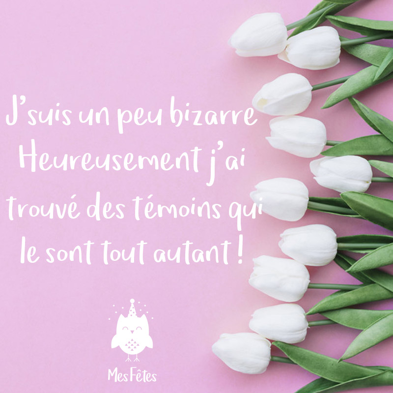 Mes Fetes Mes Temoins Mesfetes Mariage Mariage19 Mariage Boheme Champetre Fleurs Flowers Jourj Deco Decoration Dragees Dragee Love Aimer Amour Mariages Decomariage Citation Citations Citationdujour Femme Mes Fetes Mes Temoins Mesfetes Mariage Mariage19 Mariage Boheme Champetre Fleurs Flowers Jourj Deco Decoration Dragees Dragee Love Aimer Amour Mariages Decomariage Citation Citations Citationdujour Femme