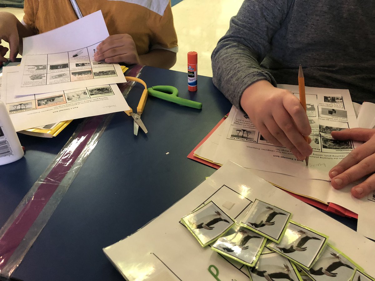 Meg_booyah's tweet photo. Loving our new school-wide read and all of the political fun it has invited 🤗 Today we read about 4 reasons why politics can be important, and sorted examples 🇺🇸 thanks @jtmoorelibrary and @MsB_MEd ! #modifiedtexts https://t.co/kNFbNV25Ud