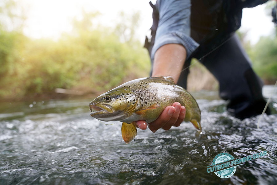CutbowGear tweet picture
