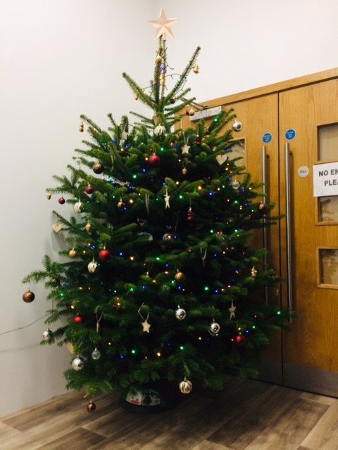 We're busy getting the trees ready for sale next week. Got the priorities right though and took time out to get this one up in our reception porch 😁