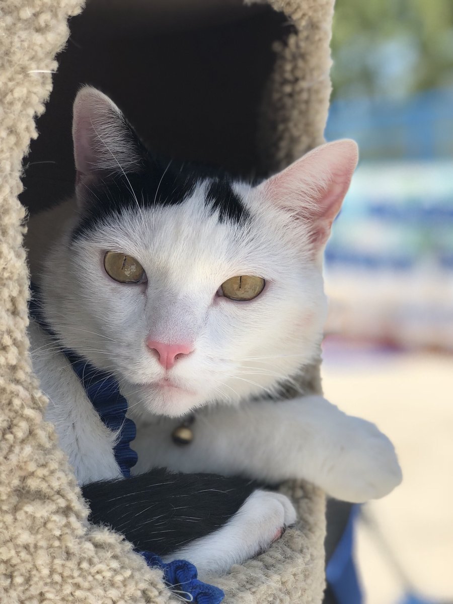 I can already say with 100% confidence that this upcoming weekend wasn’t long enough