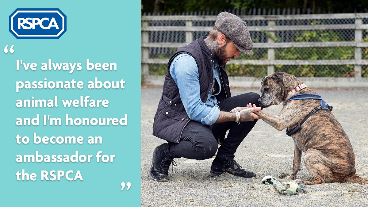 RSPCA (England & Wales) on Twitter: RSPCA (England & Wales) on Twitter: