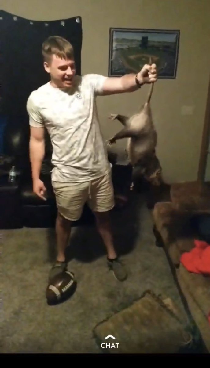 BrandtWolters's tweet photo. I’m gunna tell my kids this was Steve Irwin https://t.co/qEA7317M20