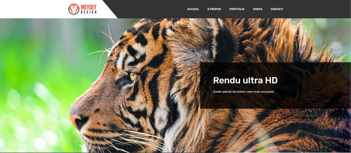 DRYXDEV's tweet image. ✅ Commande terminée pour @MeydeyGFX