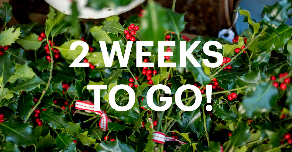 hrpfestivals's tweet photo. 2 weeks to go until the #HRPFestivefayre! Who is joining us? https://t.co/csdPdLbj8L