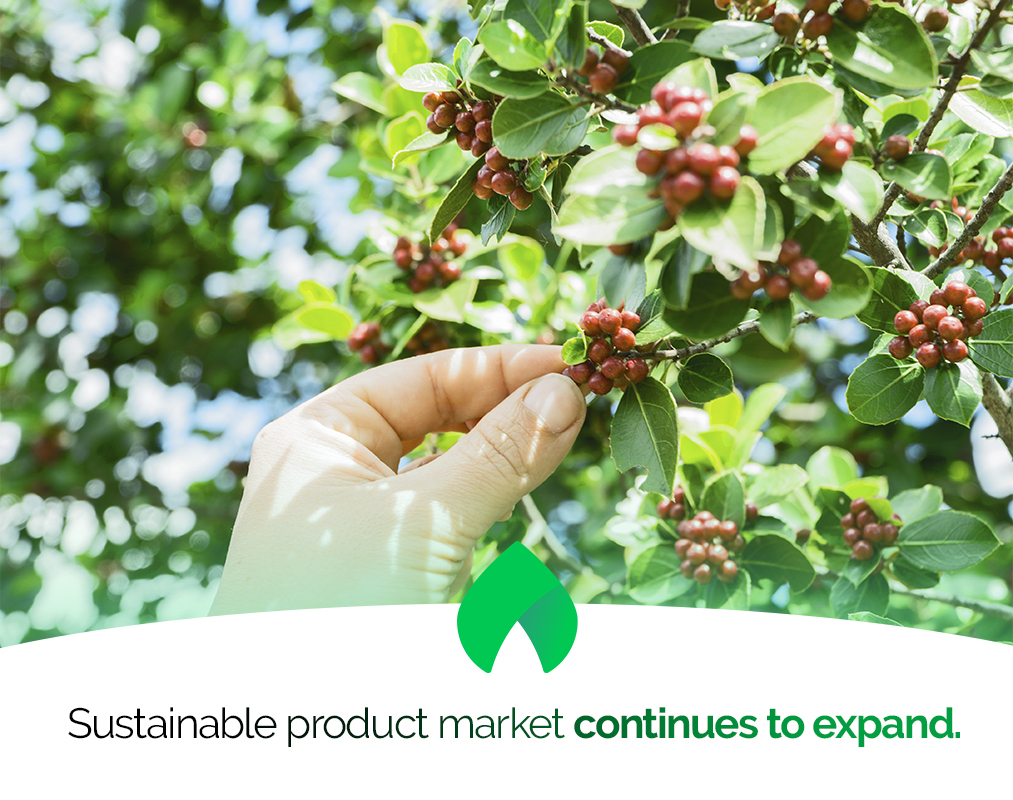 Consumers, buyers and manufacturers of #agricultural and forestry products keep turning to standard-compliant goods to tackle social and environmental concerns.

cutt.ly/meX8rsR

#sustainablemarket #sustainableproduct #sustainablycertifiedgoods #Nattiam #bioecoactual