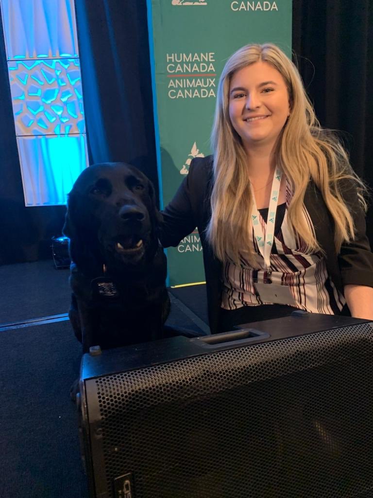 CRCVC's tweet photo. The 3 stages of excitement meeting Merlot!!! So happy to have our ED meet the Accredited Facility Dog for Regina Police & her mom, Tia. #link2019 @PADSk9Merlot @HumaneCanada https://t.co/LYIb0DkH45