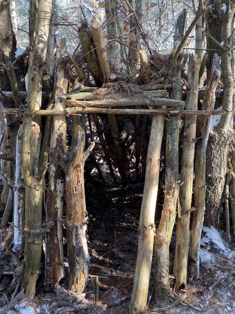 tubbs_ben's tweet photo. Building shelters in class! Check is out #ed307 https://t.co/vHY2AZmAIE