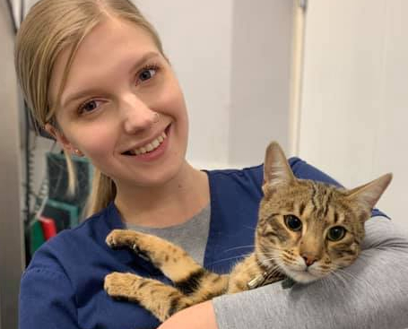 Important Information On Kennel Cough And More Clinical Cases From Our Vets #petsmilemonth #vet #petcare #vetsurgeon #vetnurse #dental #dentaldiscounts #kennelcough #vaccine londonvets.wordpress.com/2019/11/15/imp…