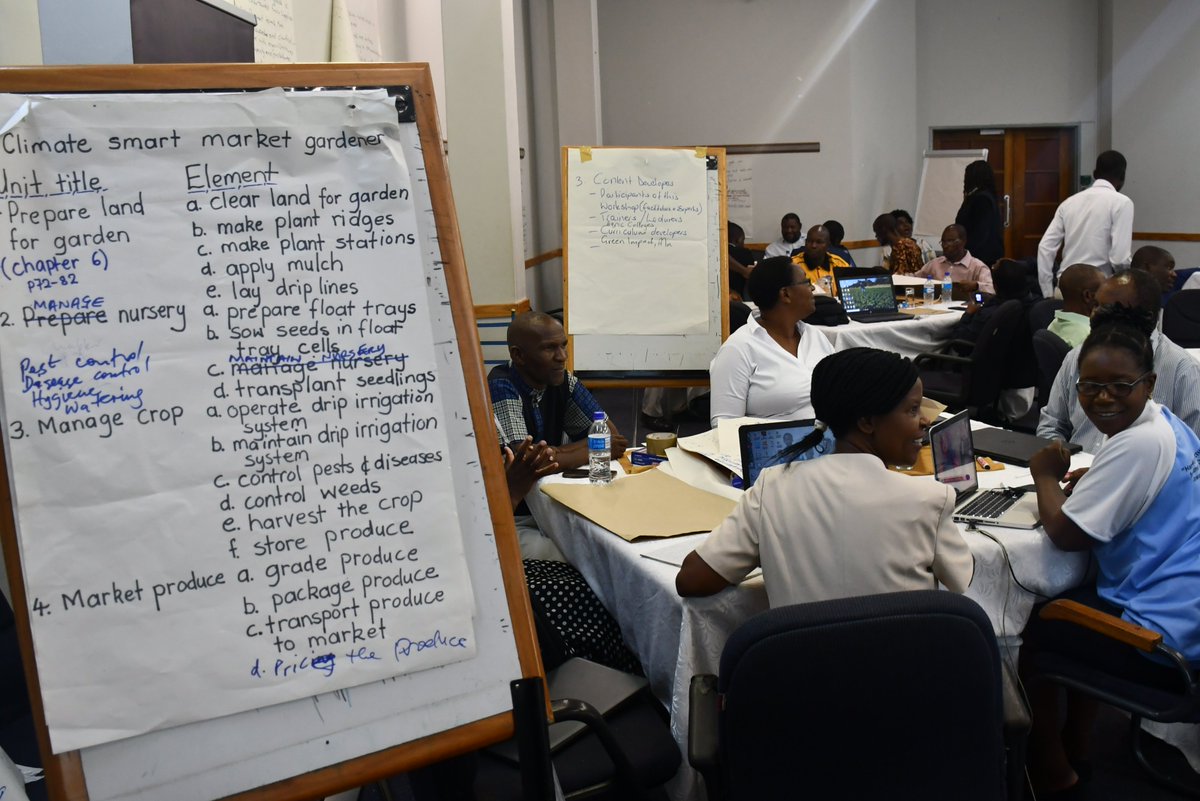greeniloharare's tweet photo. Final Day-Development of green 🌿TVET Qualification Standards.

The @iloharare Director @hphororo congratulates academic experts &amp; entrepreneurs for successfully developing key 🌿curriculum standards &amp; at least 6 training units:
➡️  Renewable Energy
➡️  Climate Smart Agriculture https://t.co/HugY28Yxk2