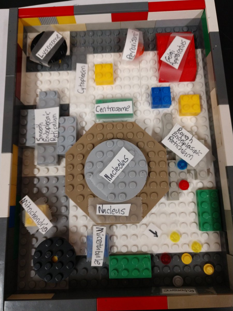 MrsBogertWYO's tweet photo. Cell project day is one of my favorite days! Students were able to choose a variety of products to demonstrate their knowledge of cell structures. We've got music videos, poems, children's stories, 3D models, cupcakes, and more! @WyoAreaSD https://t.co/9BSEogJ3S0