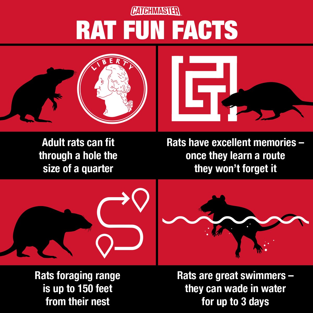 Catchmaster's tweet photo. One of the simplest rules for #rathunters is "know thy enemy". Here are some rat fun facts to get you prepped for the season ahead. Get ready for the winter with our cold temperature rodent trap, the only cold weather trap available. Buy now here: https://t.co/27JMGYQVOj https://t.co/cY3zSJQGfU