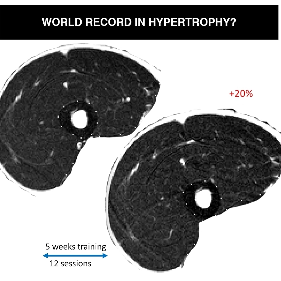 Tommy Lundberg tweet media