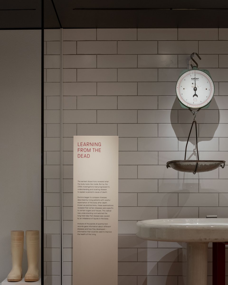_HolmesWood's tweet photo. We're very excited for the @sciencemuseum's #MedicineGalleries exhibition to open to the public this weekend. We provided the Interpretative and Environmental  Graphics throughout. Read more:
https://t.co/OFpIpPYK8a

Photos by @clickclickjim @edwardmbishop &amp; @sciencemuseum https://t.co/7h5yTDmZwJ
