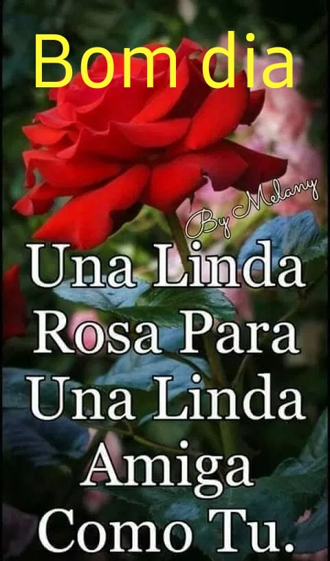 🇧🇷LEILA BOTELHO #PRINCESSE #VIP_FRIENDS #TmSofia on Twitter: 🇧🇷LEILA BOTELHO #PRINCESSE #VIP_FRIENDS #TmSofia on Twitter: