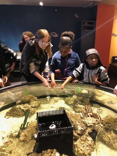 TMGlobalStudies's tweet image. 6th graders at #TMGLOBAL visited the Mystic Aquarium!