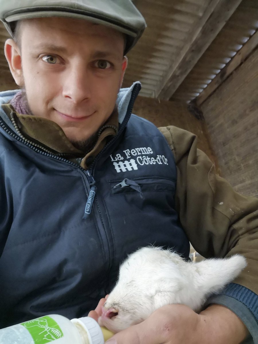 Le temps des biberons est arrivé ! #eleveurovin #AgriLoving