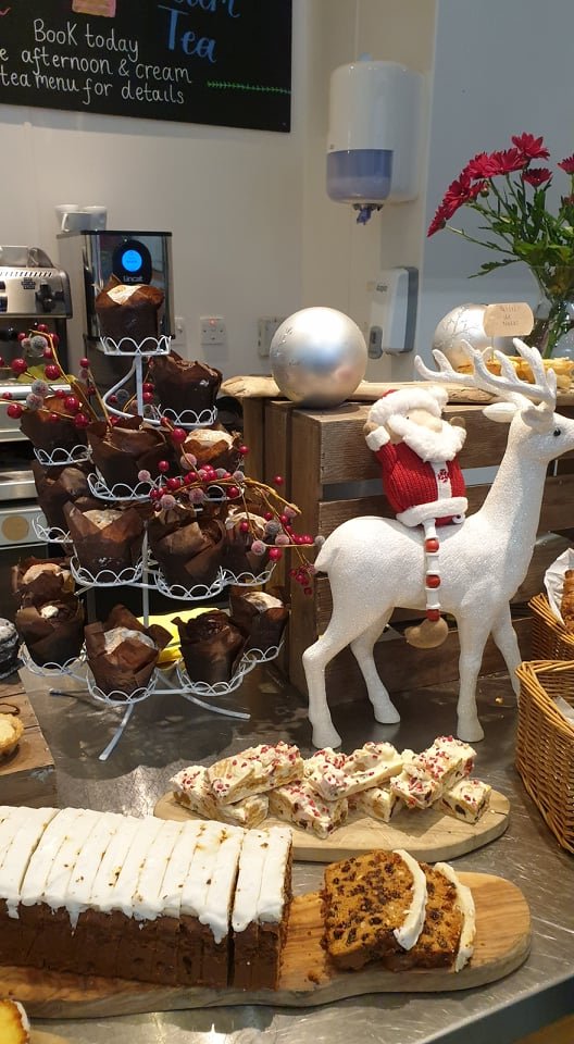 Our festive cakes including mince pies, chocolate yule log and winter white chocolate rocky road have arrived at The Wilson café. Come and enjoy a taste of Christmas in our café #feedingcreativity #ChristmasIsComing #eatlocal
