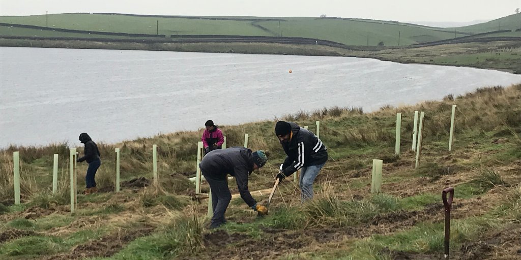 YorkshireWater's tweet photo. To celebrate our first ever #CarbonWeek, more than 55 volunteer employees planted 1,500 trees at Embsay Reservoir near Skipton. 🌱 This project is part of our wider commitment to plant one million trees by 2028. Read more > https://t.co/wqyxIaTcD5 https://t.co/KFleGAGcId