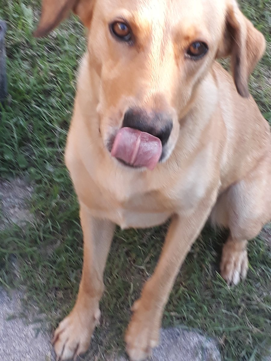 AugustoPryor's tweet photo. #soymimi tomara el lugar de #Julia ? https://t.co/EIoVSPcQ6O