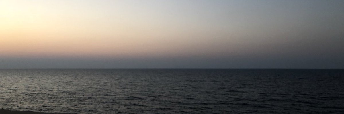 Safa Msehli 🇺🇳 tweet media