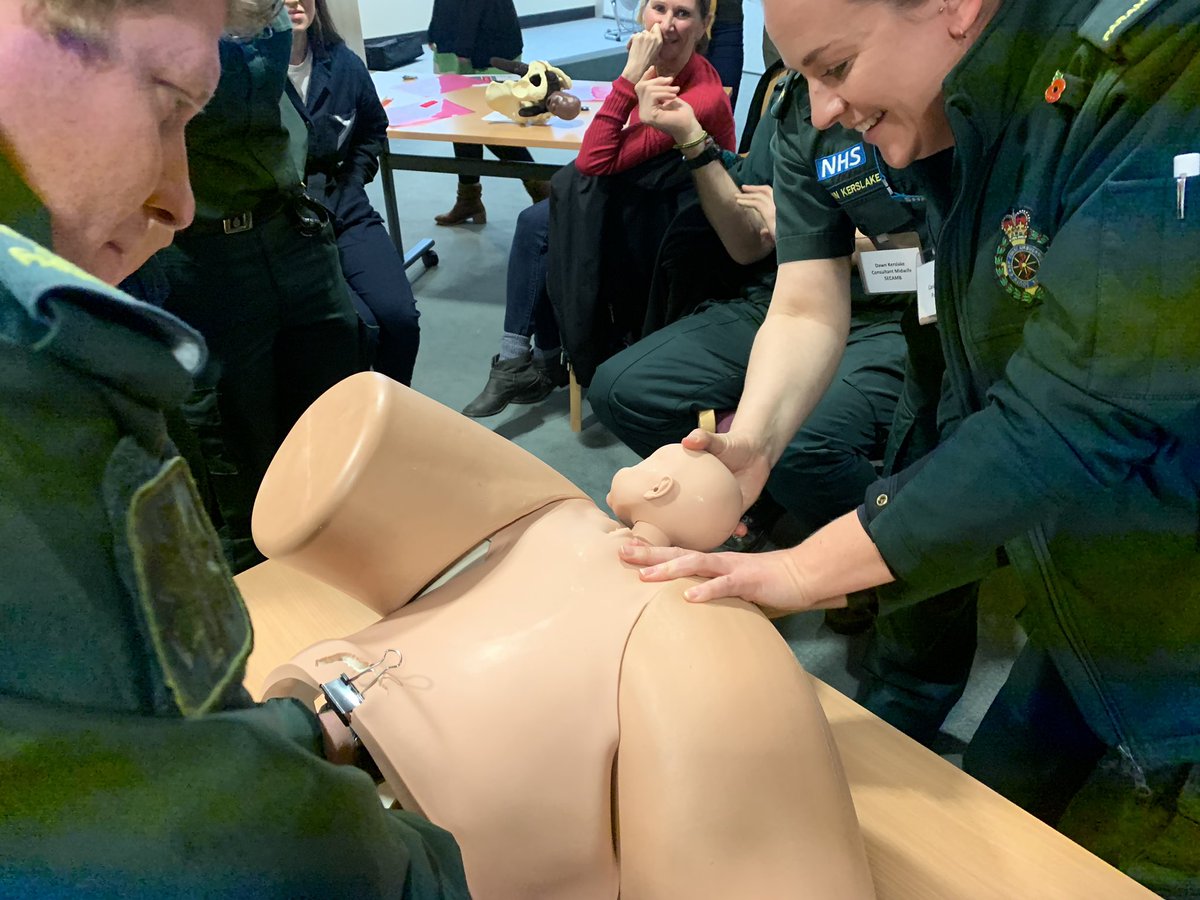 SECAmb Simulation tweet media