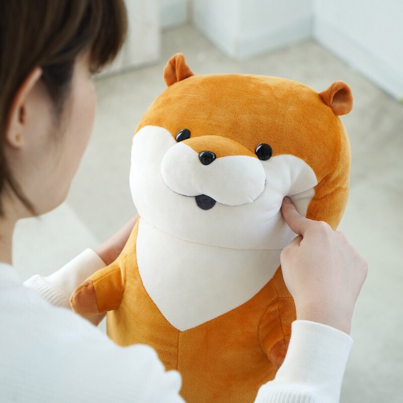新品 可愛い嘘のカワウソ もちっとぬいぐるみ | bodychita.es