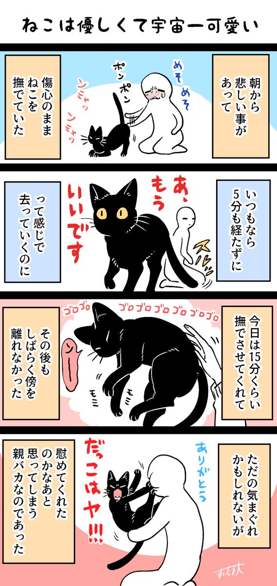 ねこはわかりにくいけど優しい
#宇宙一可愛いねこ 