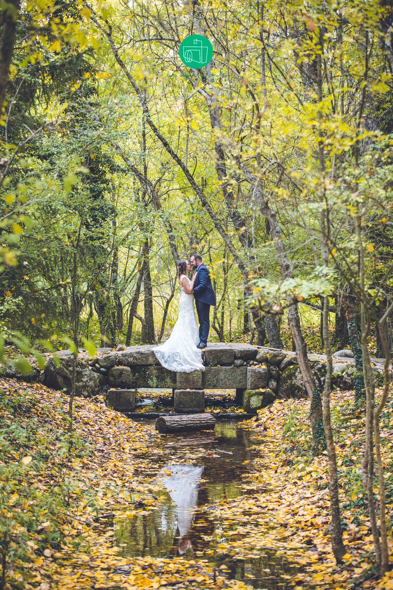 TD_Fotografia's tweet image. Si pasamos una #postboda de cuento con María y Jorge, se dice y no pasa nada 💕🏞️🍁🌿🍂

#boda #wedding #weddingphotography #Lover #rascafria #bosquefinlandes #fotografiadebodas