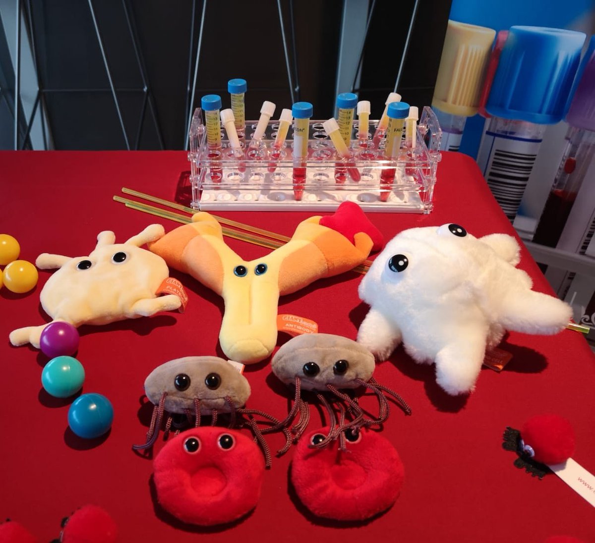 Miss_GPie's tweet photo. @CommsC4TS stand insta ready for everyone @London_Trauma Nurses Conference #4NBN #immune2trauma 👩🏾‍⚕️👩🏼‍🔬👨🏽‍⚕️👩‍⚕️👨🏻‍🔬 https://t.co/2WUGMyYSZ7
