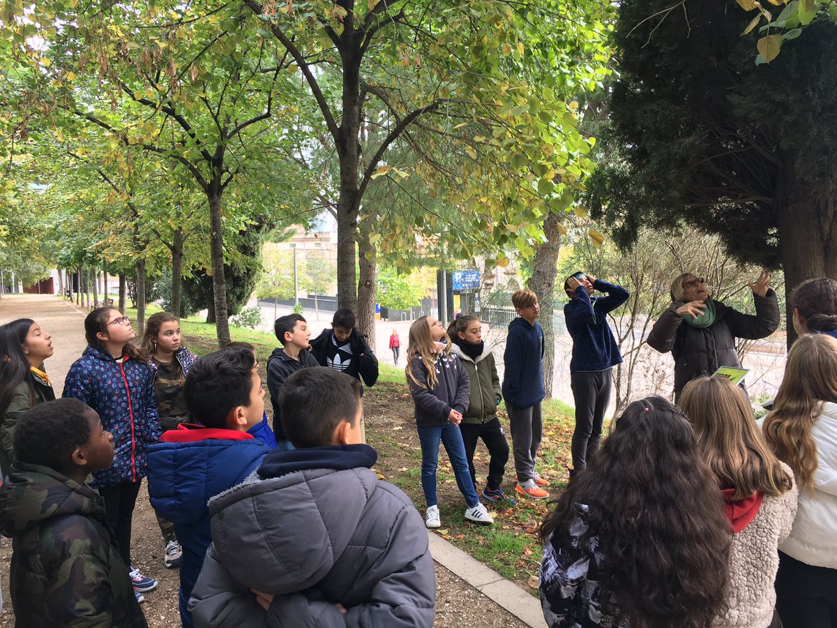 CorMarFig's tweet photo. Gimcana al Parc Bosc per conèixer els arbres del nostre entorn.  🌳🌿🌳🍂🌲🍁
Cuidem la natura ♻️
#cordemaria
#parcbosc https://t.co/D4oTH4wkoy