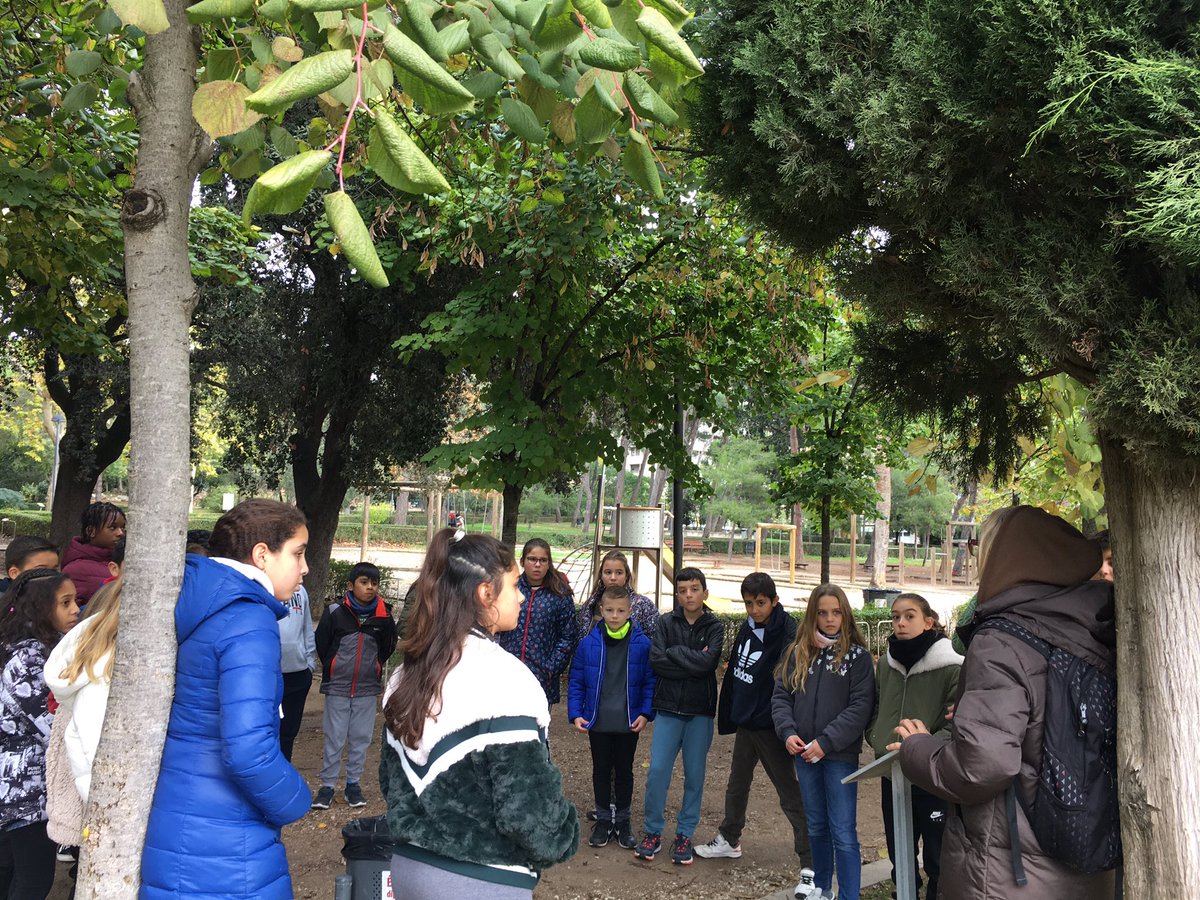 CorMarFig's tweet photo. Gimcana al Parc Bosc per conèixer els arbres del nostre entorn.  🌳🌿🌳🍂🌲🍁
Cuidem la natura ♻️
#cordemaria
#parcbosc https://t.co/D4oTH4wkoy