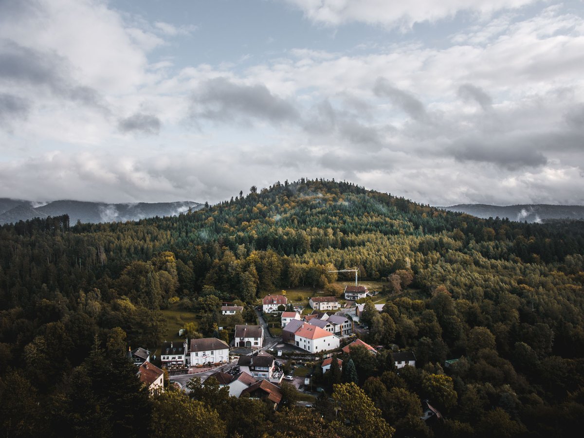 Bien Voyager tweet media